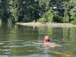 Mainschwimmen Juni 2026